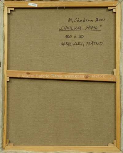  / Chvilku sama / Milan Chabera