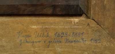  / Město pod Alpami / Hugo Ullik