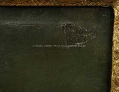  / Portrét Františka I. Štěpána Lotrinského /   Neznačeno