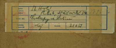  / Chalupy ve Slatině / Miloslav  Holý