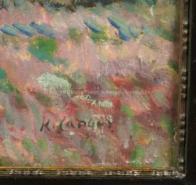  / Vřesoviště / Karel Langer