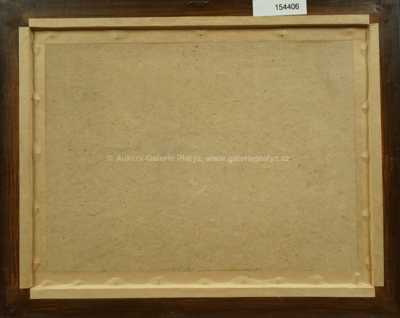  / Vřesoviště / Karel Langer