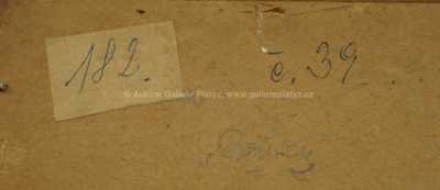  / Břízy / Jan Honsa