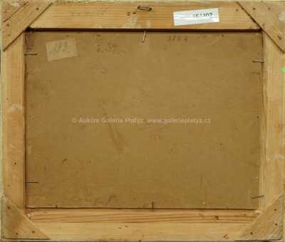  / Břízy / Jan Honsa