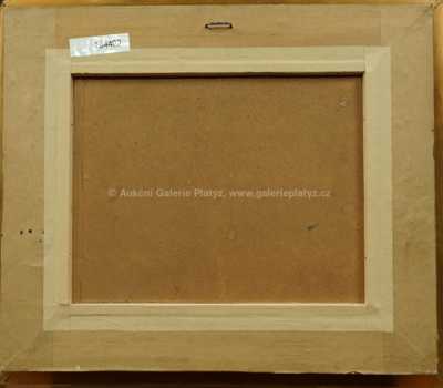  / Trosky / Alois Kalvoda