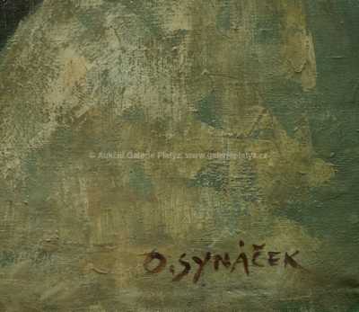  / Sedící akt / Otakar Synáček