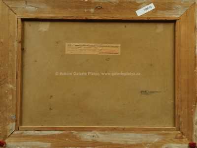  / Chalupy / Karel Schadt