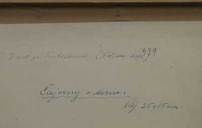  / Čajovny v Mervu / Karel Souček