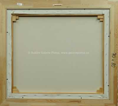  / Tour de France / František Ringo Čech