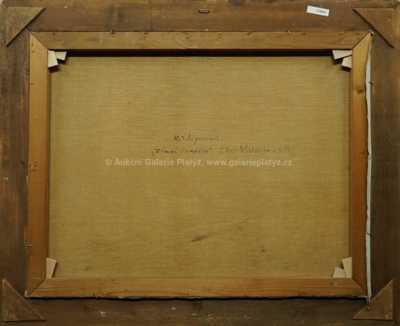  / Zimní slunéčko / Karel Jan Sigmund