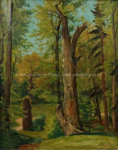  / Vzrostlé stromy / Karel Jan Sigmund
