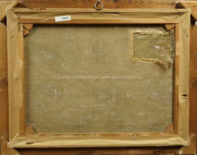  / Zima / Bedřich Peroutka