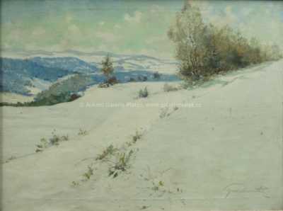  / Zima / Bedřich Peroutka