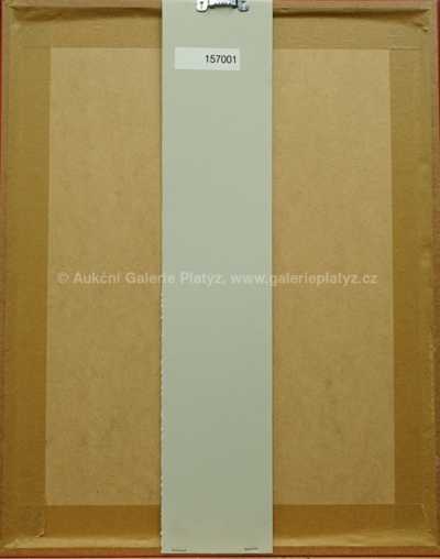  / Barevné skvrny / Václav Rožánek