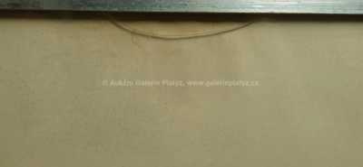  / Obydlí / Jiří Lacina