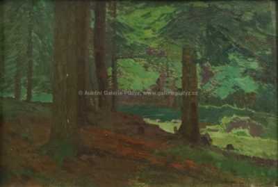  / Les / Roman Havelka