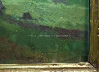  / Les / Roman Havelka