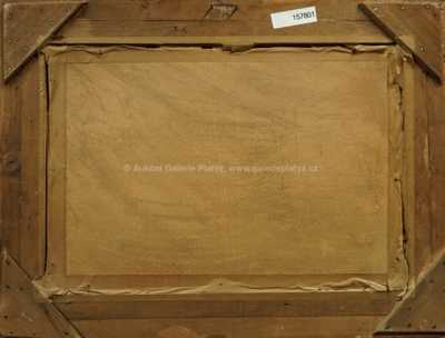  / Les / Roman Havelka