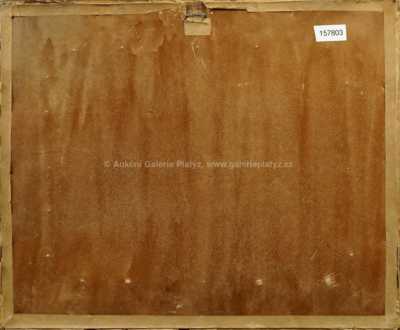  / Pstruh / Jan Slavíček