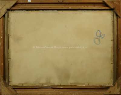  / Rybářská bašta u Starého Kolína / Václav Radimský