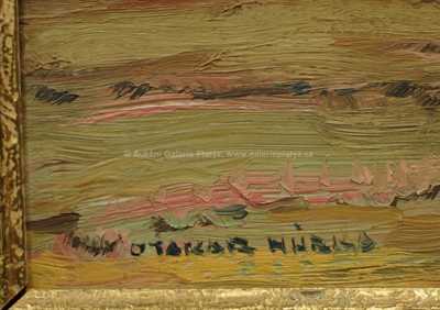  / Rozkvetlá louka / Otakar Hůrka