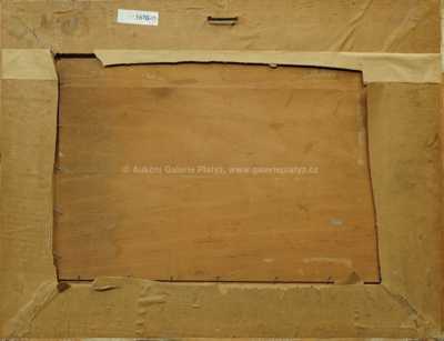  / Rozkvetlá louka / Otakar Hůrka