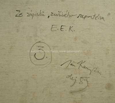  / Ze zápisků  / Jan Kanyza