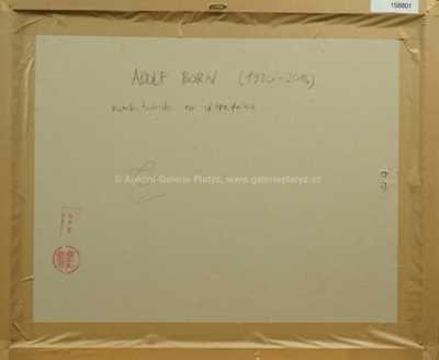  / V parku / Adolf Born