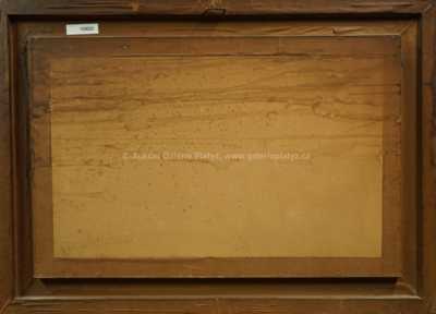  / Krajina / Karel Jan Sigmund