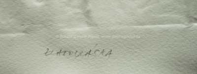  / Tři kočky / Olbram Zoubek