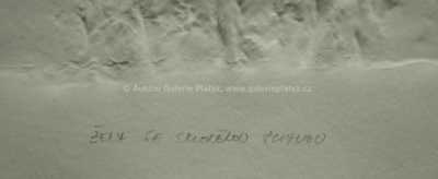  / O. s padajícími vlasy / Olbram Zoubek