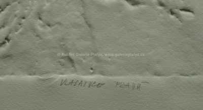  / Vlasatice pravá / Olbram Zoubek