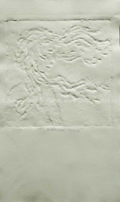  / Vlasatice pravá / Olbram Zoubek