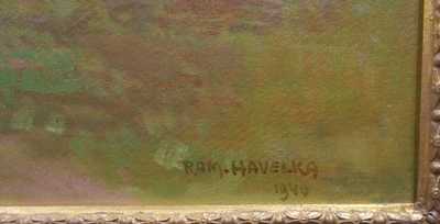  / Slunce v lese / Roman Havelka