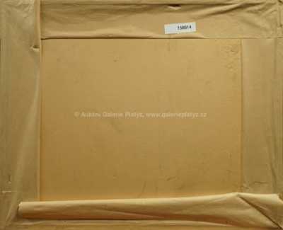  / Karlův most / František Tavík Šimon