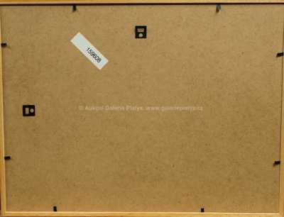  / Krajina s chaloupkami / Josef Jambor