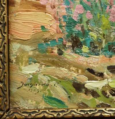  / Rozkvetlá louka / Čeněk Sucharda