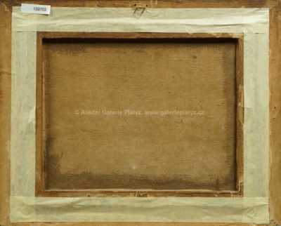  / Rozkvetlá louka / Čeněk Sucharda