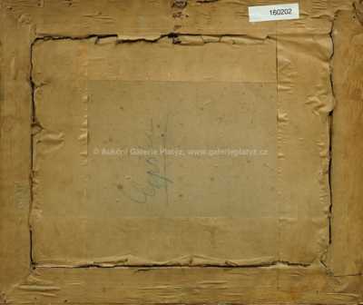  / Roubenka pod břízou / Ota Bubeníček