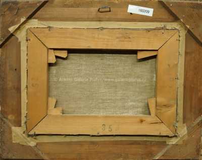  / Pohled z Karlova mostu / Josef Štefan Maleček