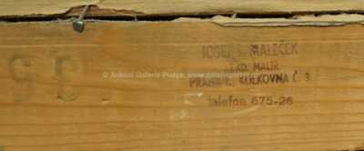  / Pohled z Karlova mostu / Josef Štefan Maleček