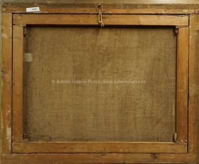  / Alpská krajina / Alois Kirnig