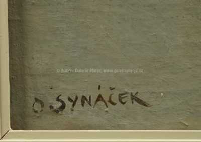  / Torzo / Otakar Synáček