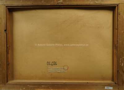  / Vesnička v horách / Jaroslav Grus