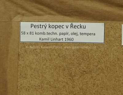  / Konvolut dvou kusů / Kamil Linhart