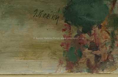  / Šeříky / Josef Konečný