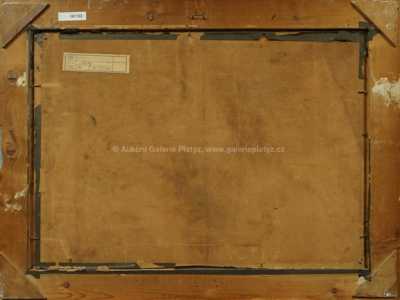  / Šeříky / Josef Konečný