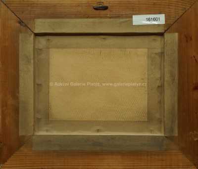  / Zrcadlení /  Josef Holub