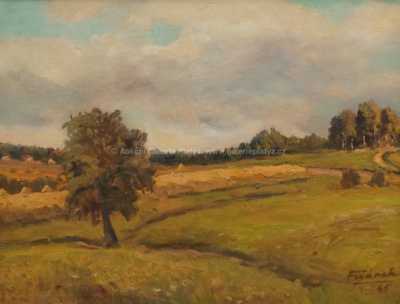  / Strom v krajině / Alois Fišárek