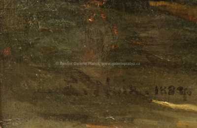  / S věrným přítelem u krbu / Ernest Robert Salmon  Noir